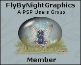 Fly By Night Graphics